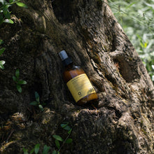 Load image into Gallery viewer, Thermo-Detangling Cloud