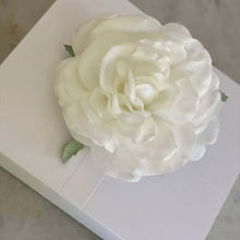 Load image into Gallery viewer, Signature Collection