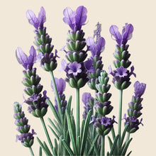 Load image into Gallery viewer, Rebuilding Hair Mask