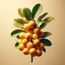 Load image into Gallery viewer, Glossy Nectar