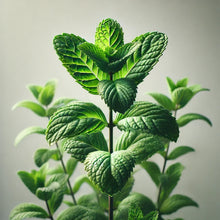 Load image into Gallery viewer, Micro-Stimulating Hair Bath