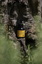 Load image into Gallery viewer, Nurturing Drops