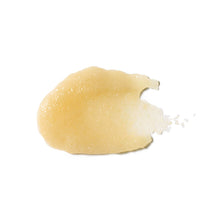 Load image into Gallery viewer, Scalp + Body Exfoliant
