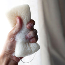 Load image into Gallery viewer, Hair + Body Cleanse + Sponge