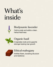 Load image into Gallery viewer, Rebuilding Hair Mask