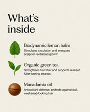 Load image into Gallery viewer, Frequent Use Hair + Scalp Bath